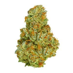 Buy Weed Online In Japan