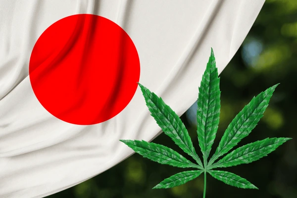 Buy Weed Online In Japan